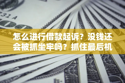 武汉怎么进行借款起诉？没钱还会被抓坐牢吗？抓住最后机会！
