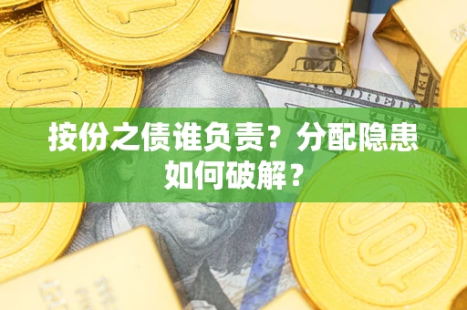 武汉按份之债谁负责？分配隐患如何破解？