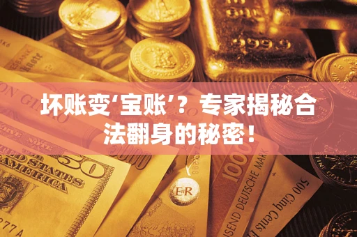 武汉坏账变‘宝账’？专家揭秘合法翻身的秘密！